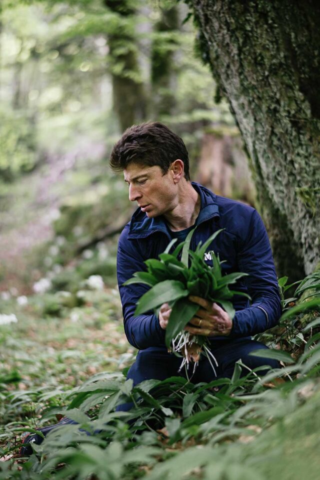 Jean Sulpice cueille des herbes pour recettes de cuisine gastronomique