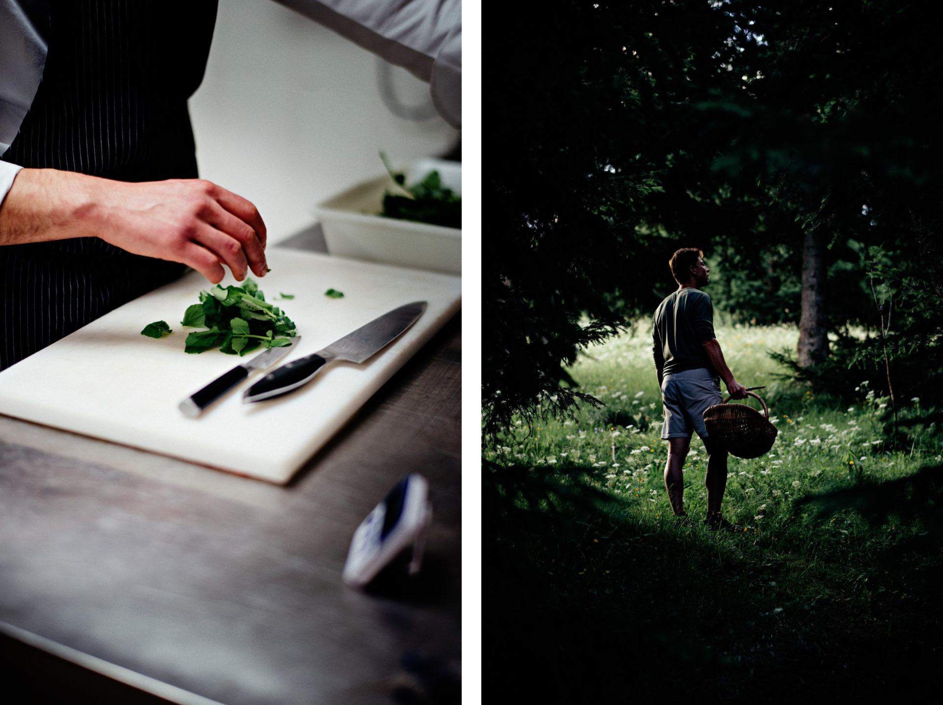 Chef Jean Sulpice en cuisine et cueillette de plantes