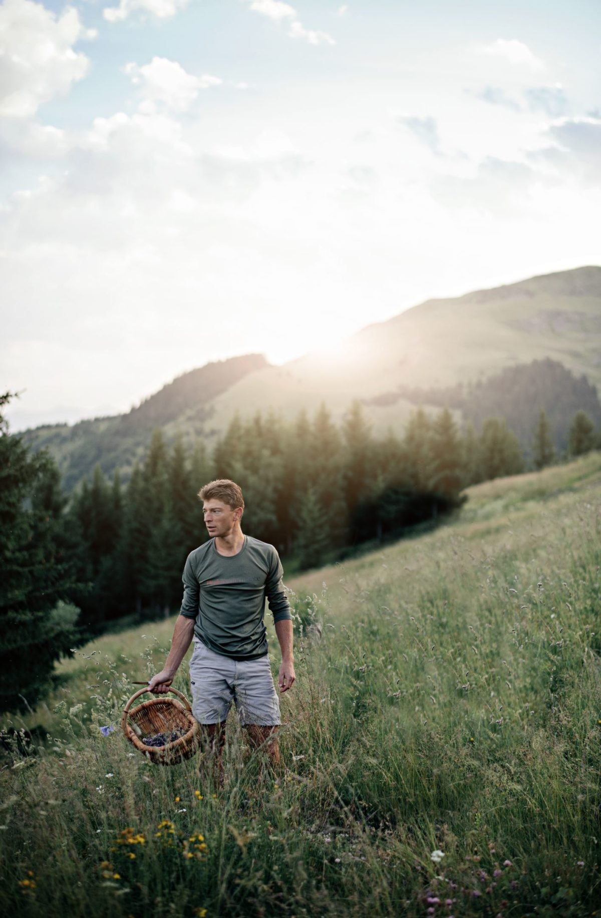 Jean Sulpice cueillette d'herbes sauvages en montagne