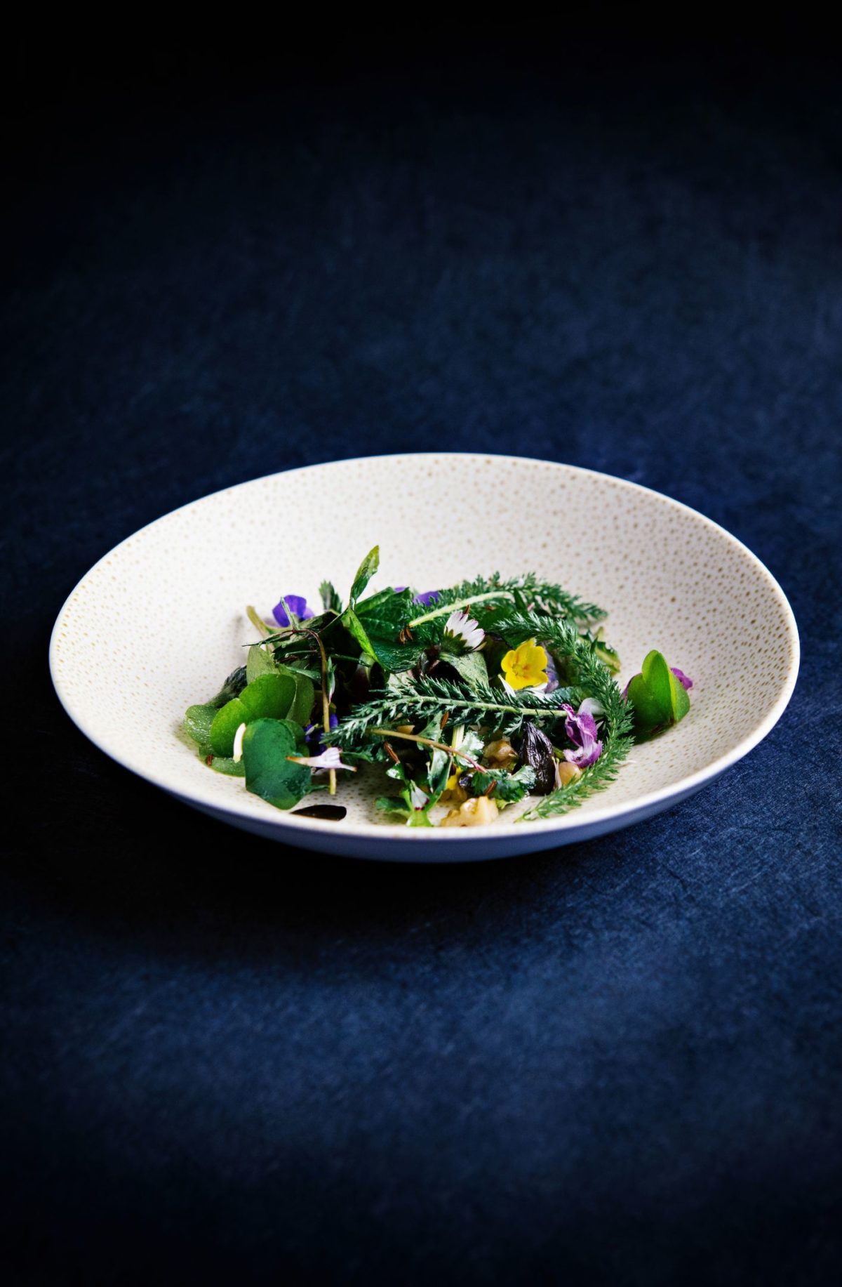 Recette aux herbes sauvages, par Jean Sulpice