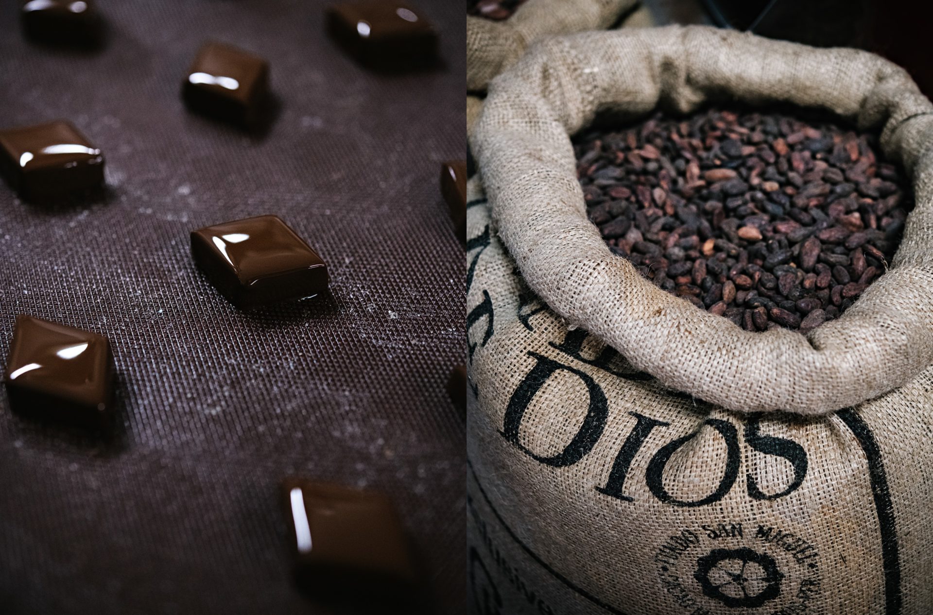 fèves de cacao et carreaux de chocolat