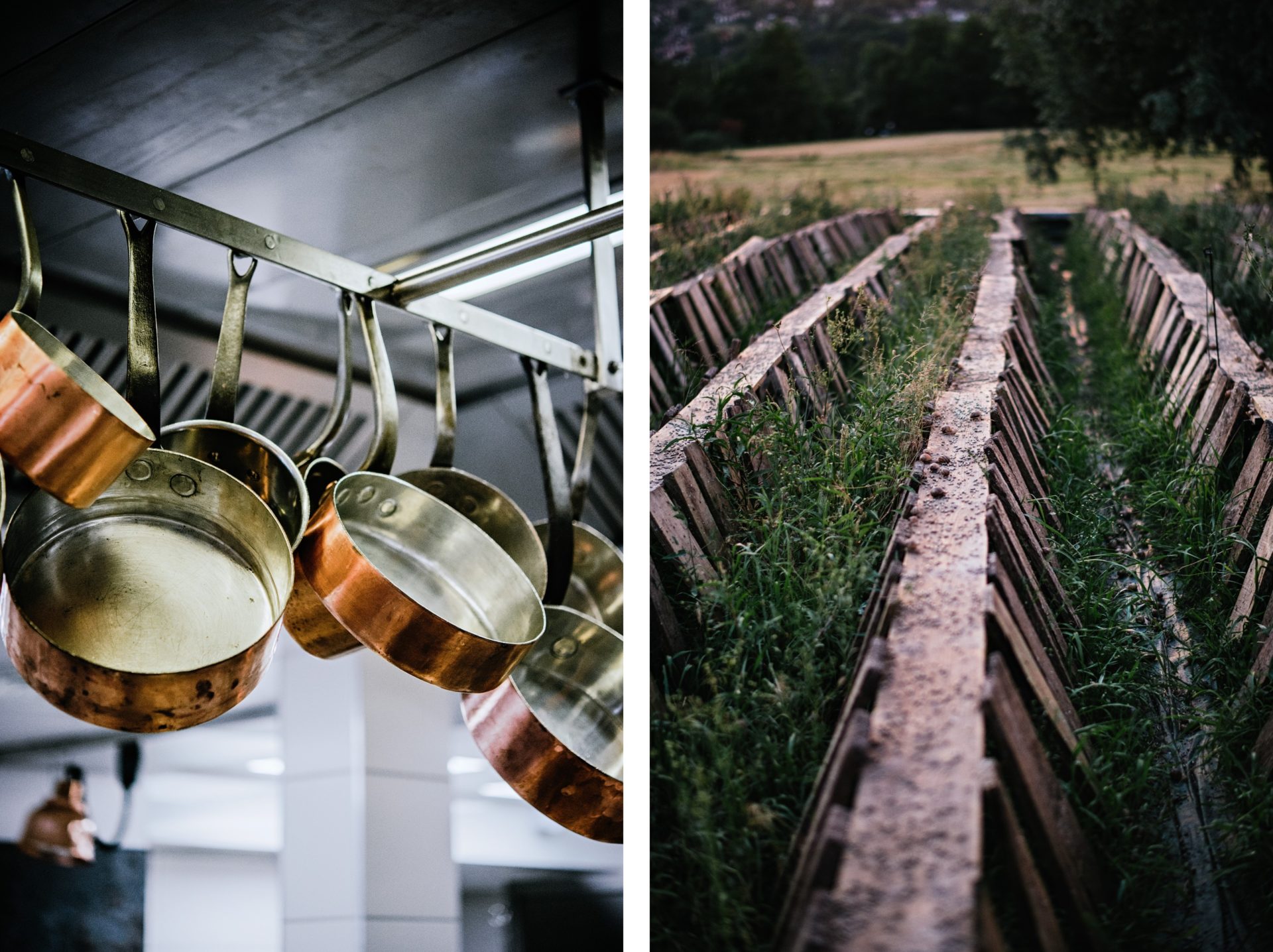 ustensiles de cuisine et élevage d'escargots