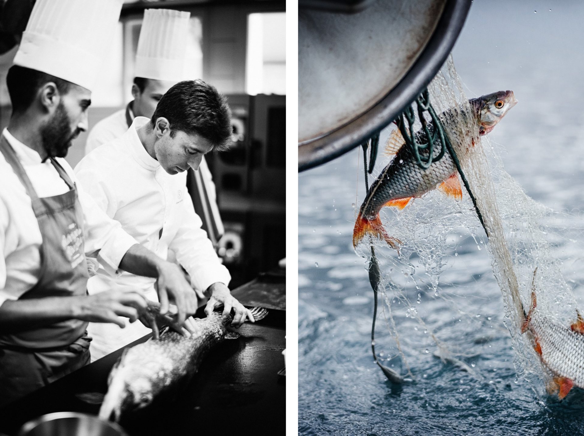 Jean Sulpice cuisine du poisson